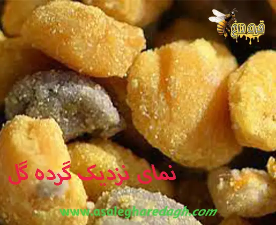 پیش فروش گرده گل