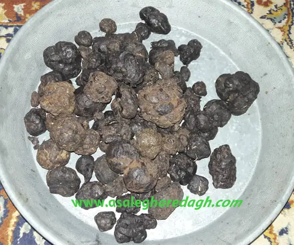 گرانترین بره موم دربازار