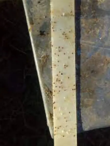 خرید نوار کنه مانجینگ