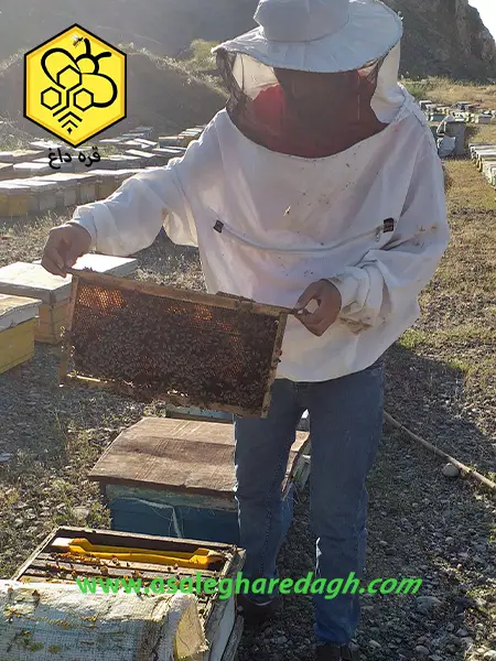 موم ورق عسل رنگی