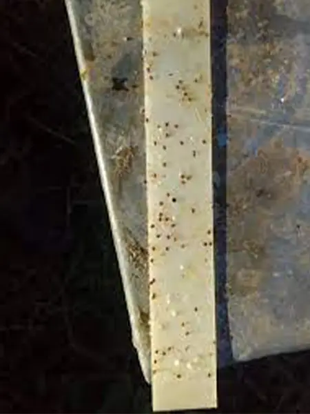 خرید نوار کنه