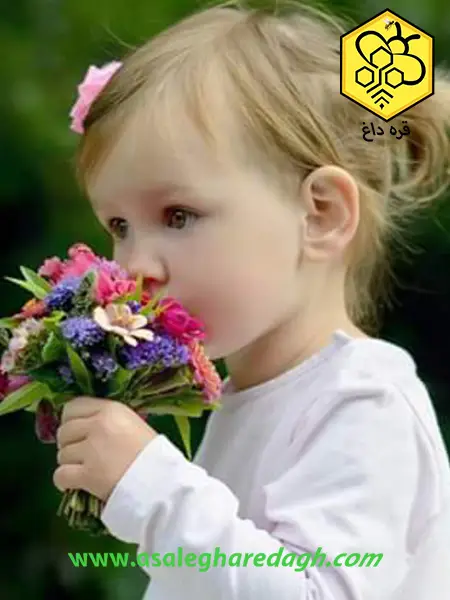 قیمت عسل طبیعی