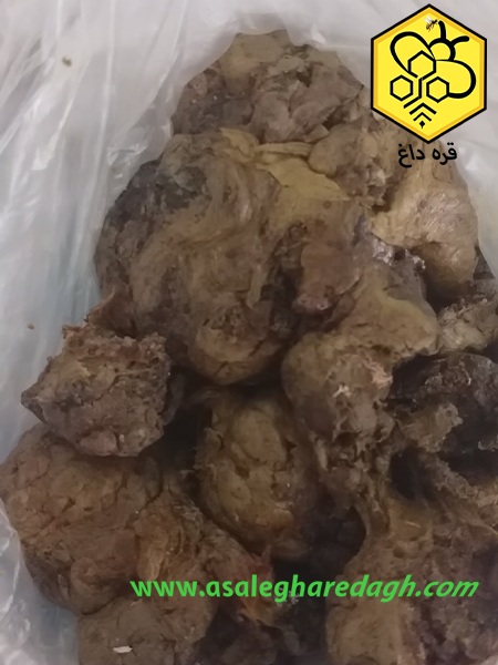 تامین بره موم تازه
