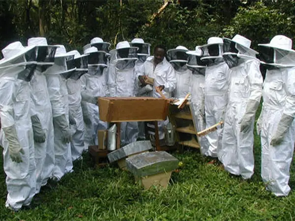 خرید نوار کنه زنبور