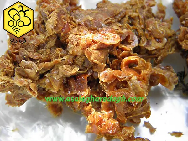 تامین بره موم تازه