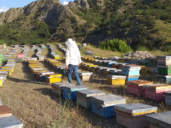 قیمت اسپری اسید فرمیک