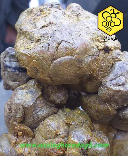 قیمت روز بره موم