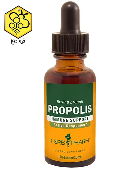 فروشنده عمده بره موم