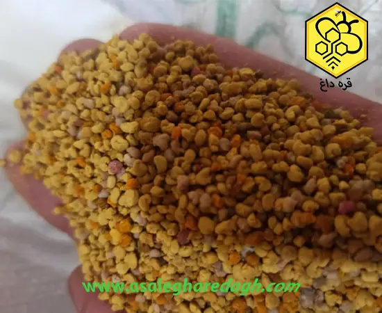 گرده گل عمده خشک