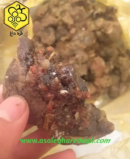 فروشنده عمده بره موم