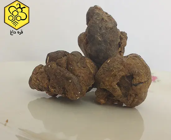 فروشنده عمده بره موم