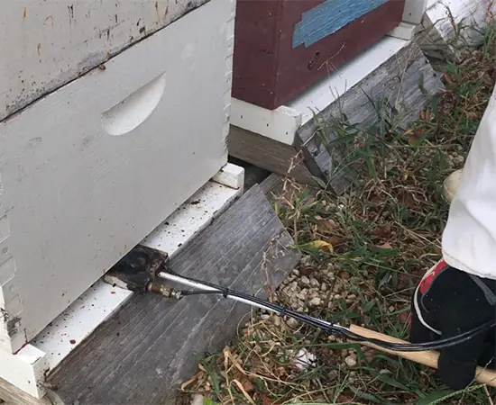 دستگاه تصعید اسید اگزالیک