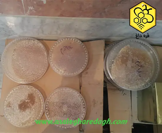 قیمت عسل شان