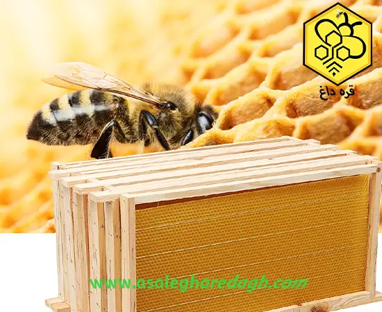 قیمت روز ورق موم