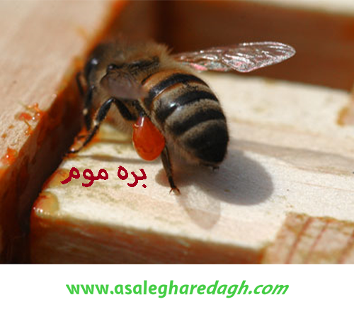 بره موم عمده خالص