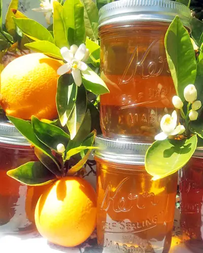 قیمت عسل بهارنارنج