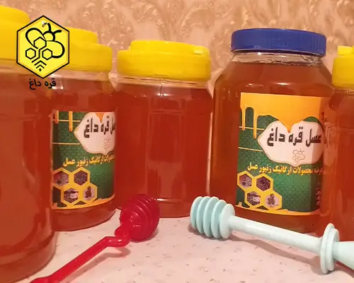 خرید عسل ارزان