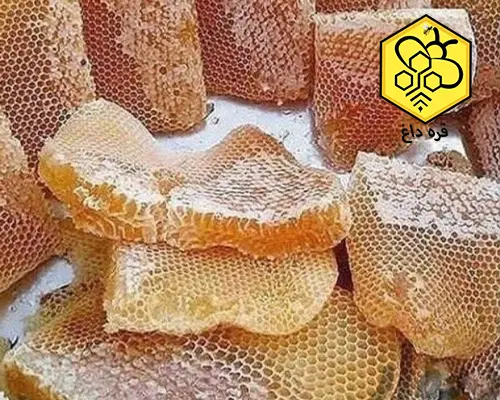 خرید عسل پاییزه