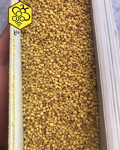 فروش گرده گل بهاره