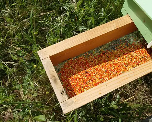 قیمت گرده گیر