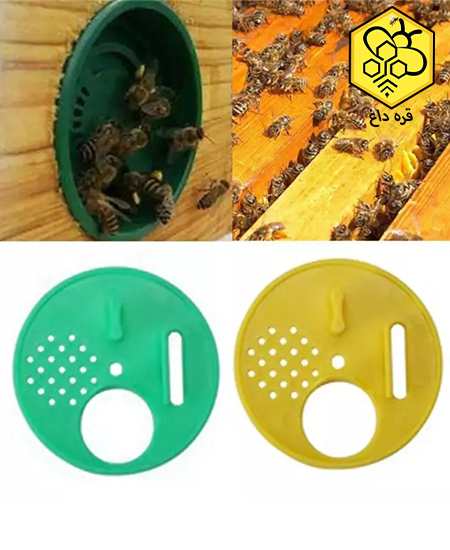 خرید کندو