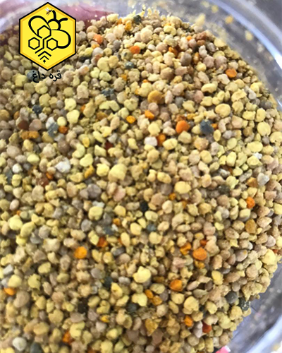 فروش گرده گل بهاره