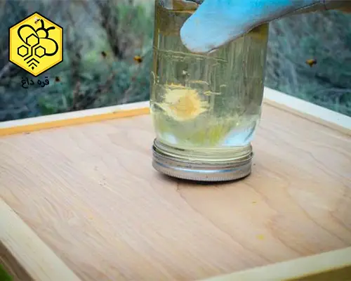 قیمت شربت خوری قابی