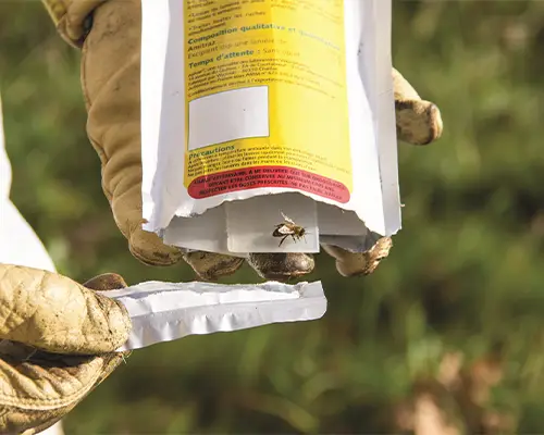 نوار کنه وامیترات تضمینی