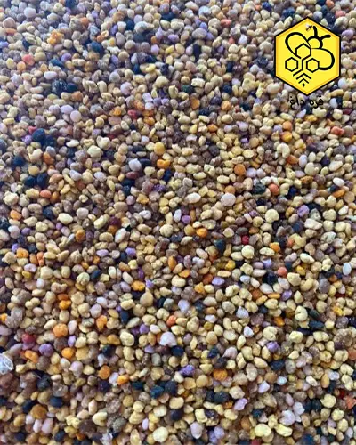 بهترین گرده گل کوهستانی