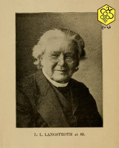 خرید بهترین کندو