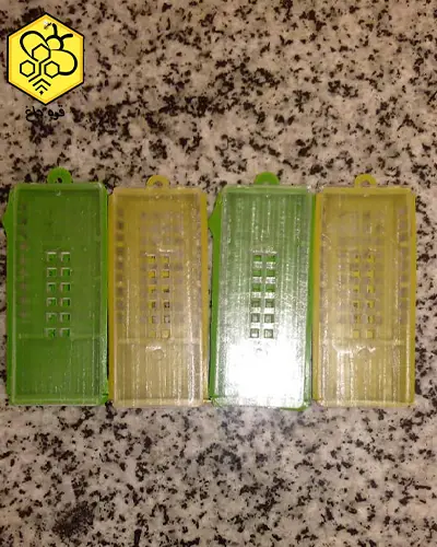 خرید قفس ملکه