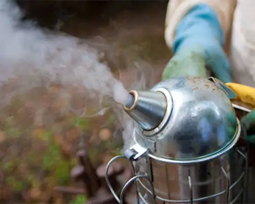 قیمت کنه کش وامیترات