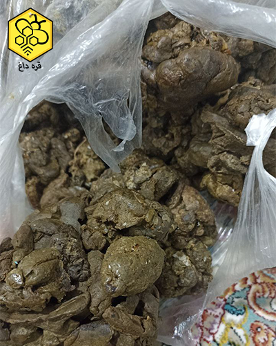 بهترین بره موم
