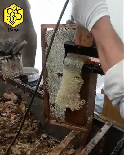 خرید پولک تراش برقی