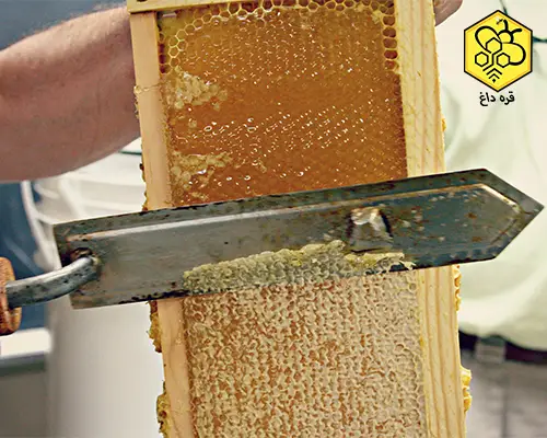 خرید پولک تراش برقی