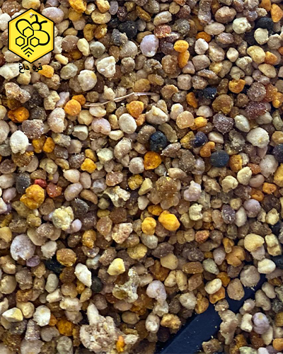 خرید گرده گیر