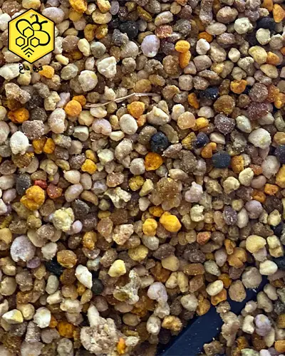 خرید گرده گیر