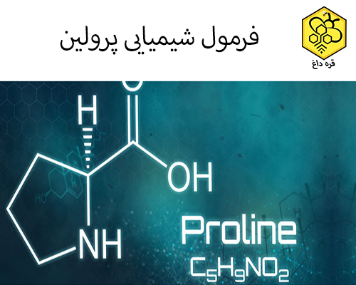 فروش عسل خالص