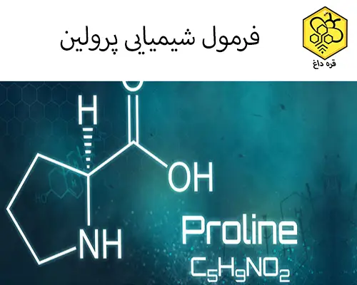 فروش عسل خالص