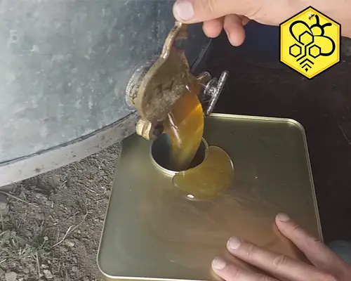 گرده گل عمده