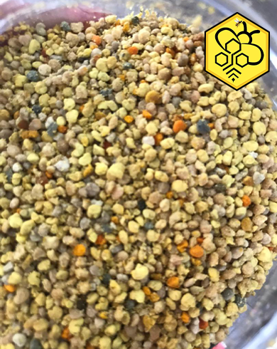 گرده گل دانه درشت