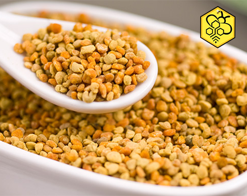 پخش گرده گل ایرانی