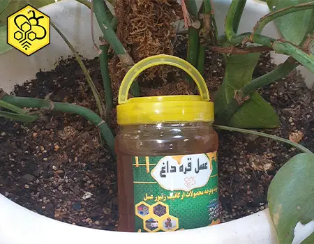 فروش ویژه عسل