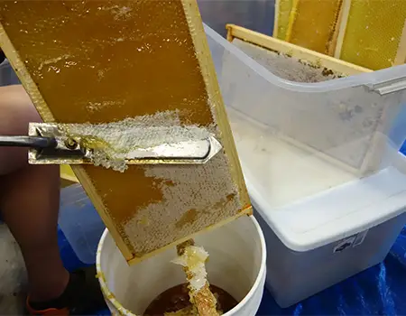 چنگال پولک تراش