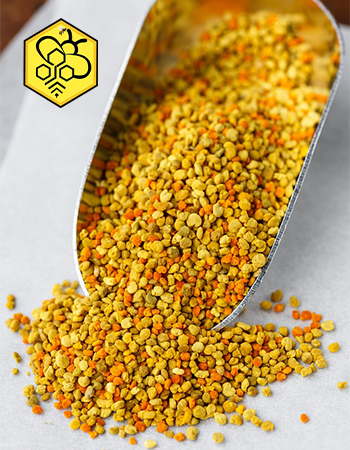 گرده گل ایرانی