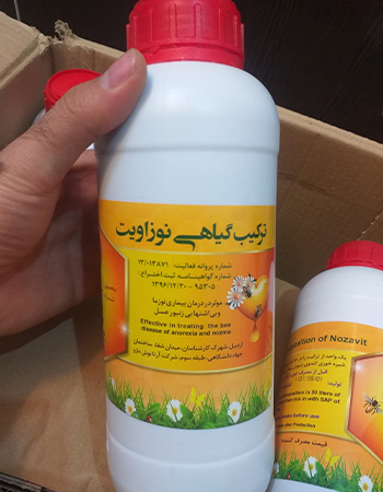 نوزاویت