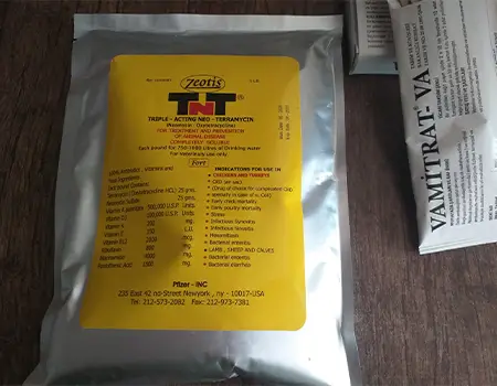 تقویت تخمگذاری ملکه زنبور