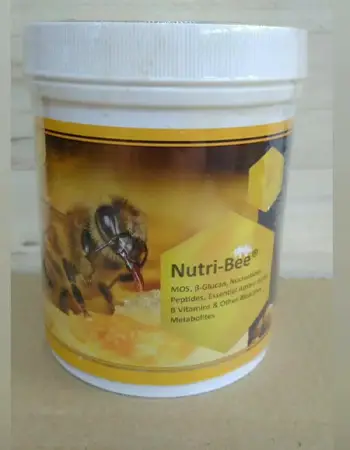 تقویت تخمگذاری ملکه زنبور