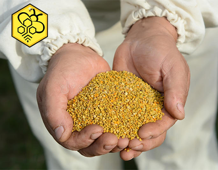 خرید گرده گل دشت