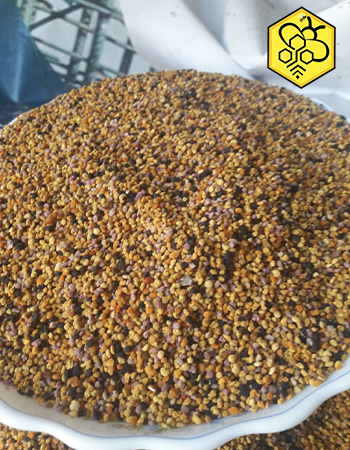 خرید گرده گل دشت